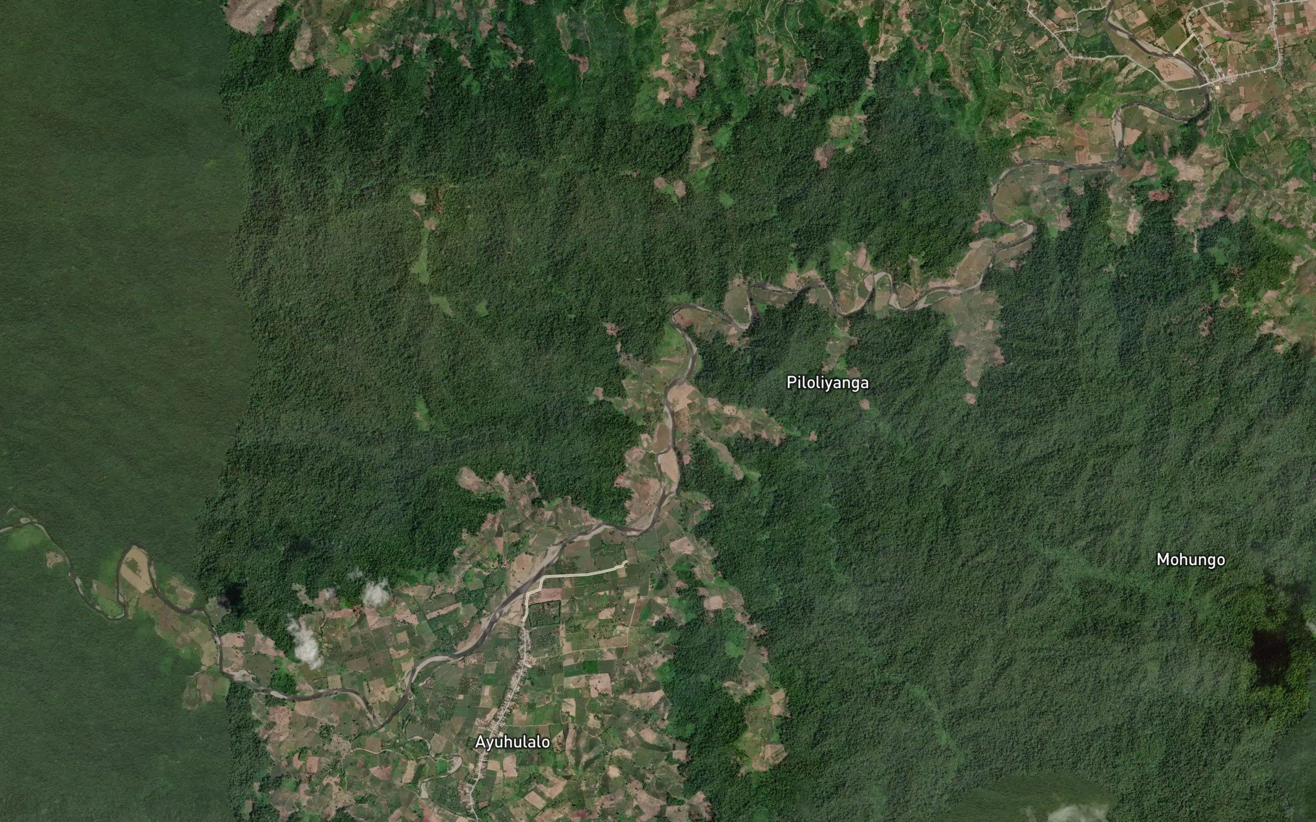Dutula Hulapa