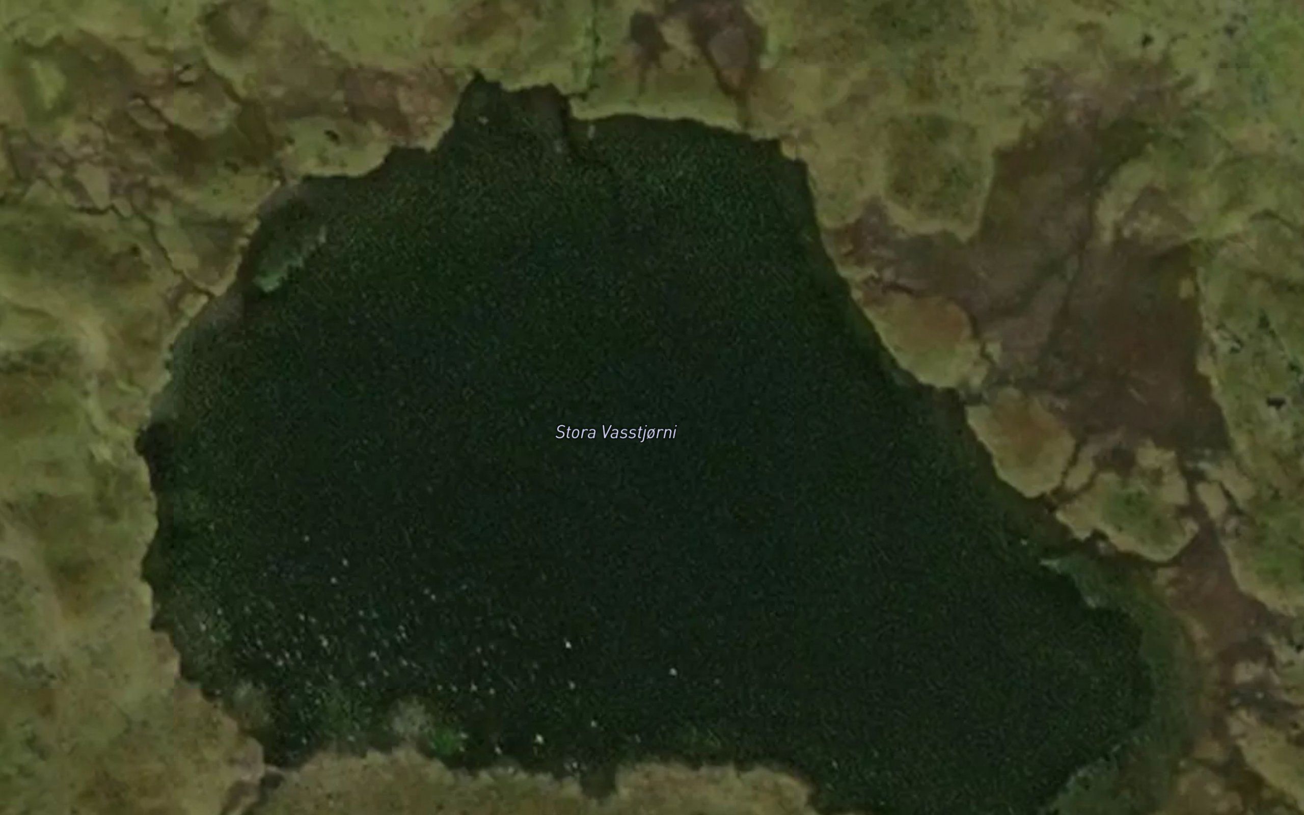 Storevagstjorni