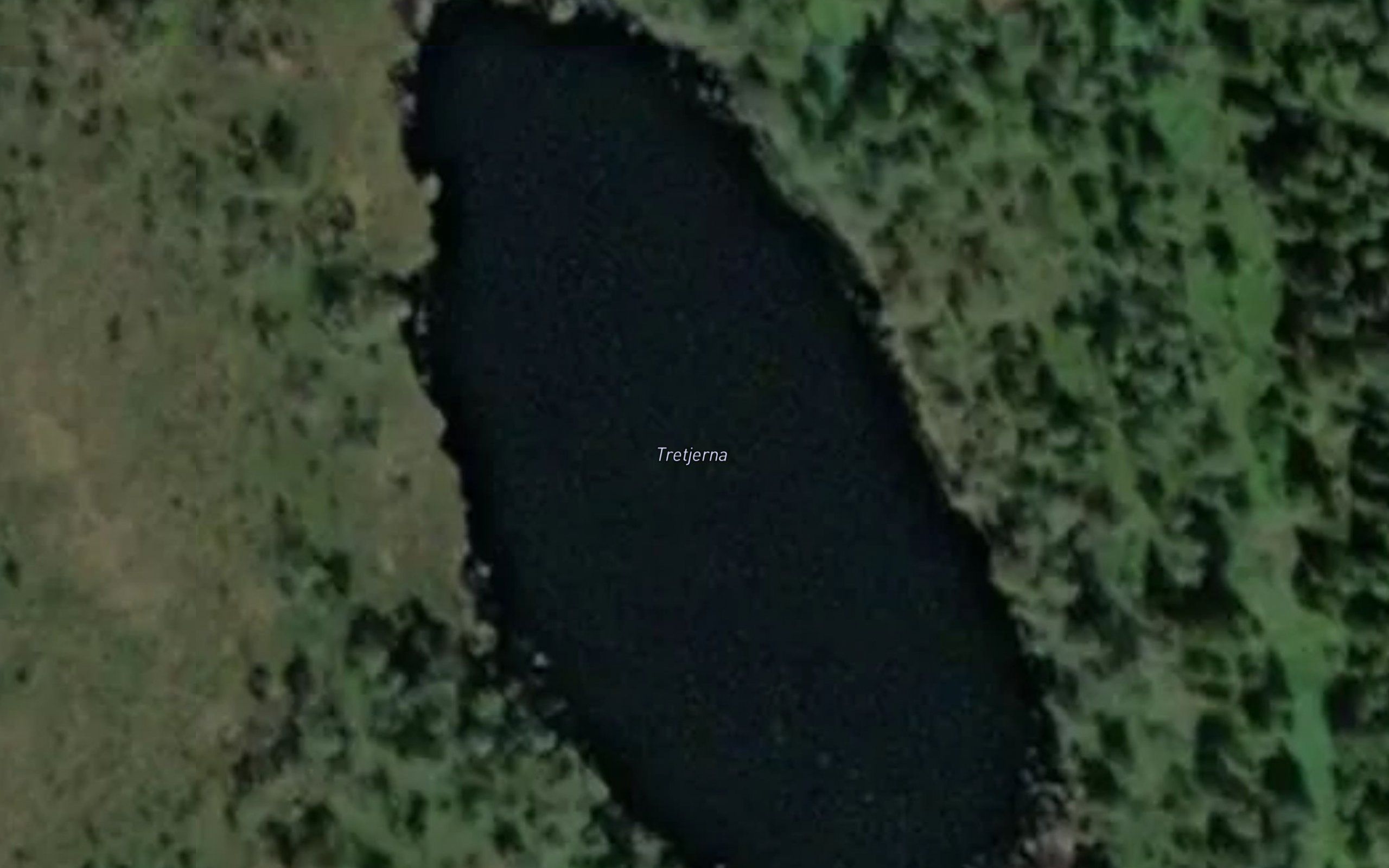 Tretjerna