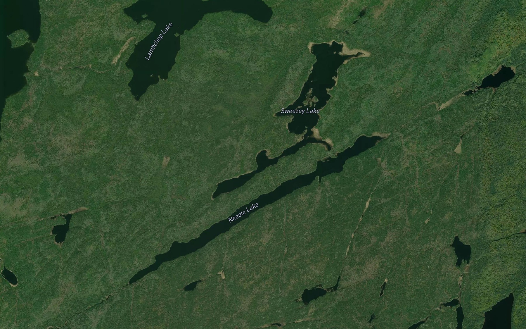 Satellite map of the Little Needle Lake