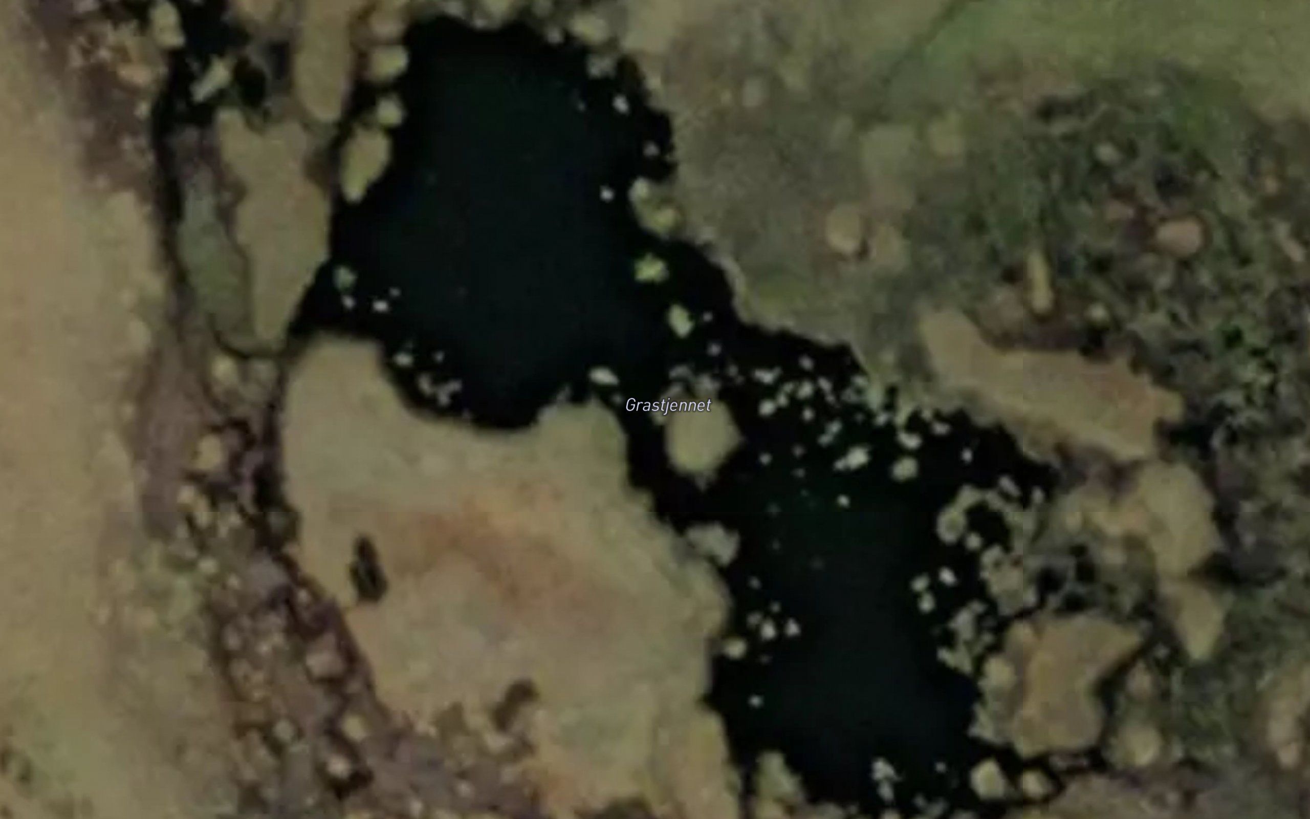Grastjernet