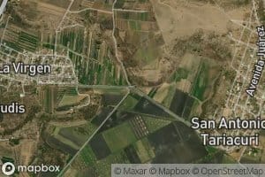 Tariacuri