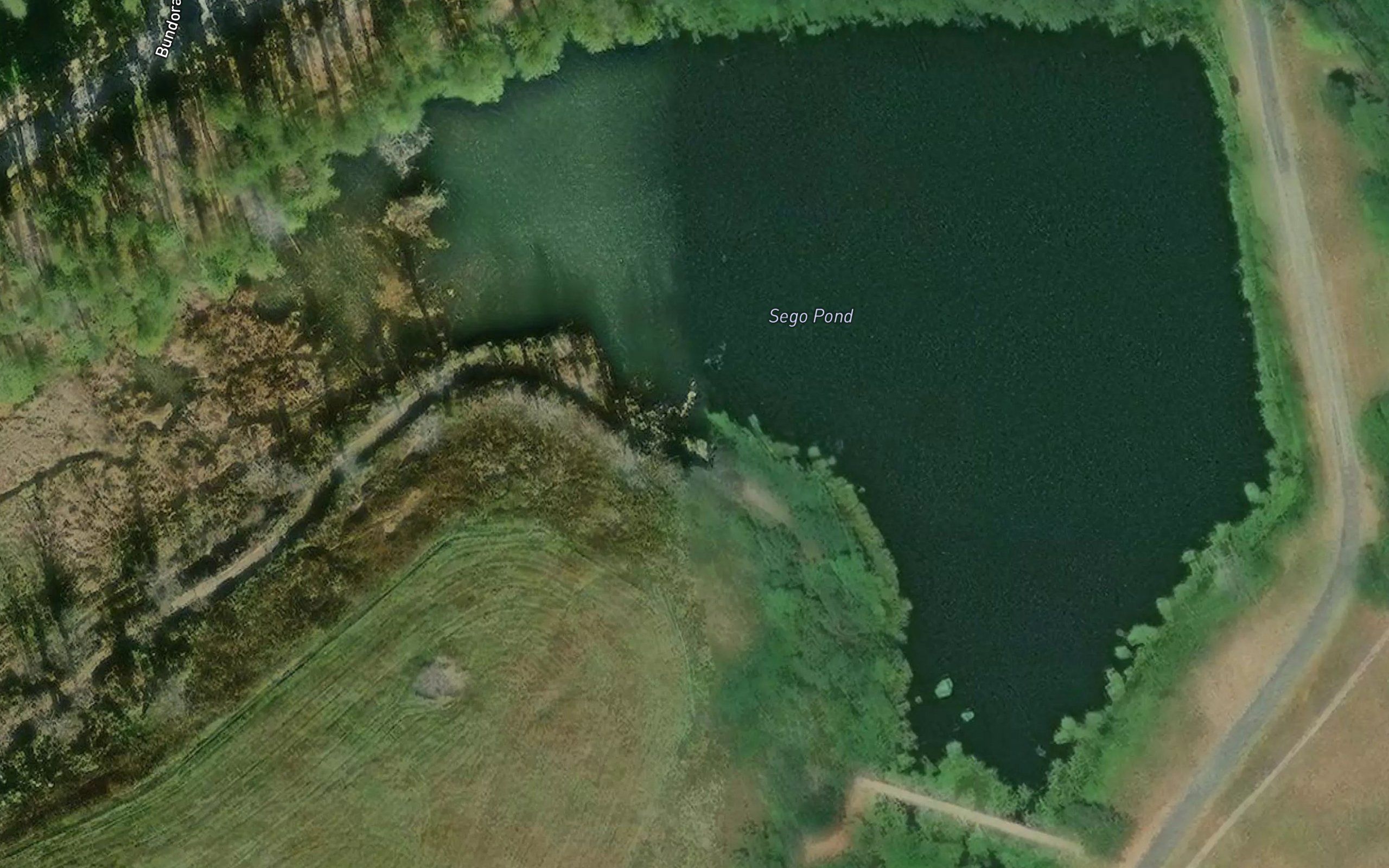 Sego Pond
