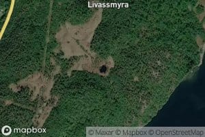 Livatnet