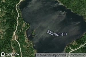 Skjellbreida