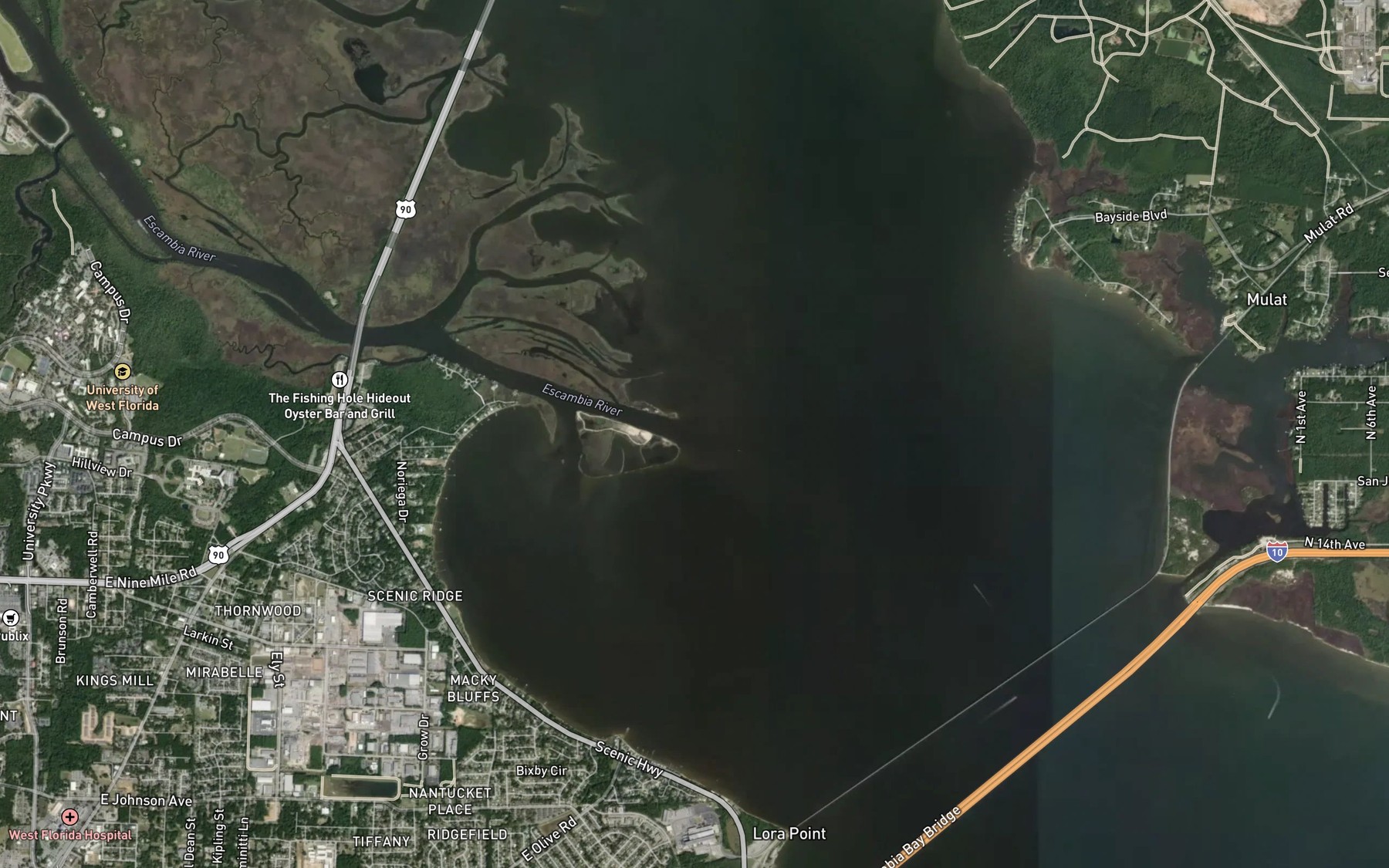 Satellite map of the Escambia River