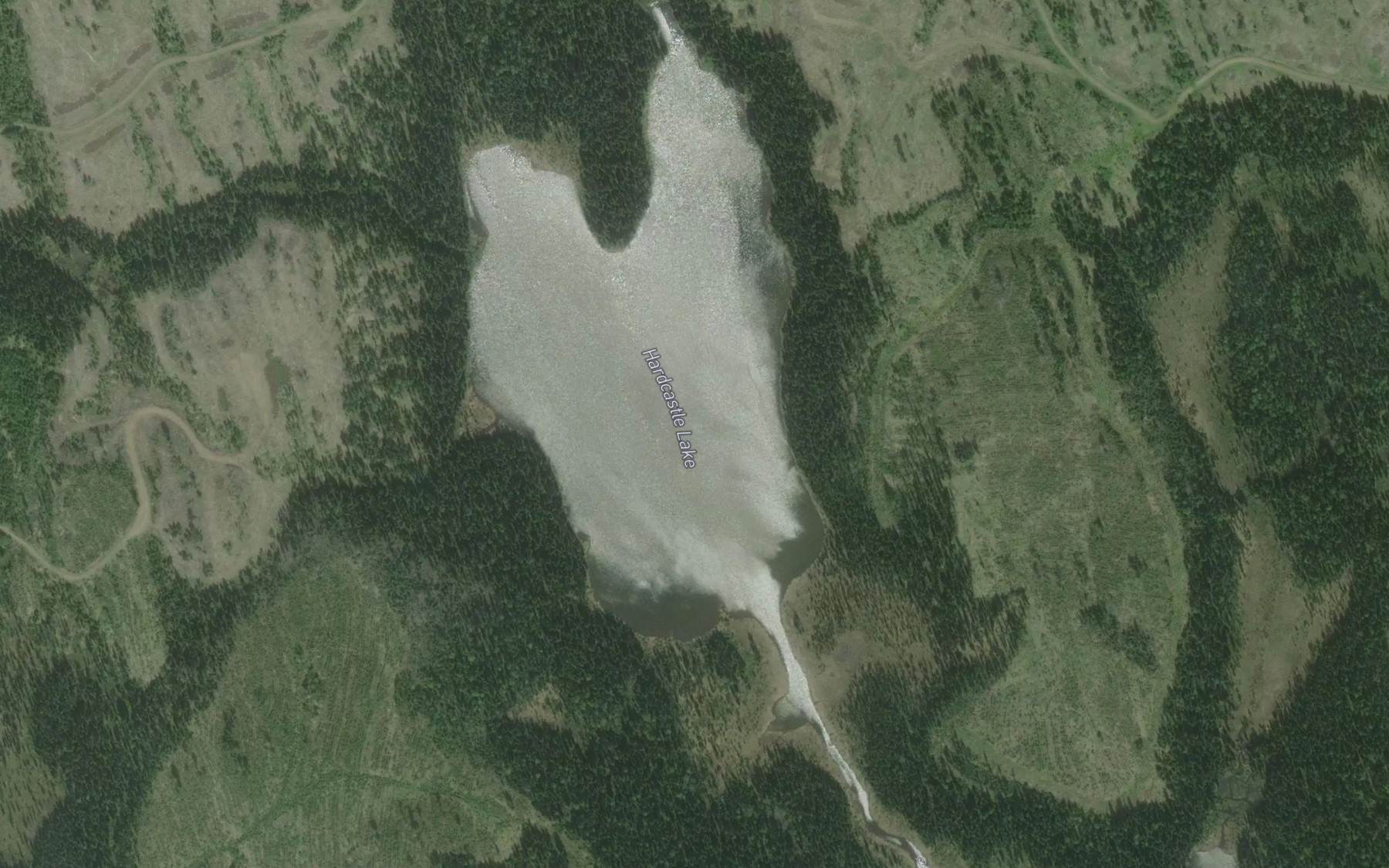 Satellite map of the Hardcastle Lake