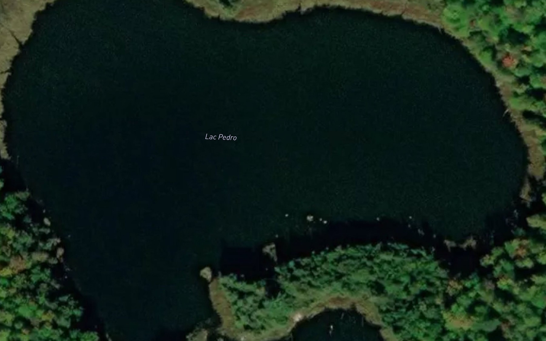 Satellite map of the Lac Pedro