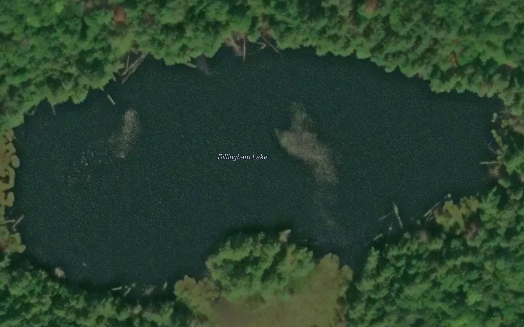Satellite map of the Dillingham Lake