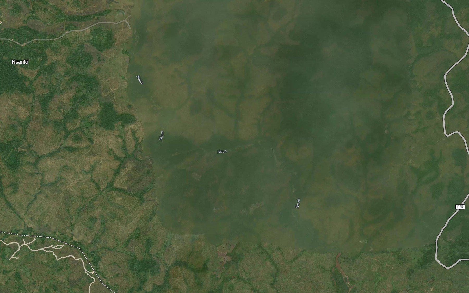 Satellite map of the Cham