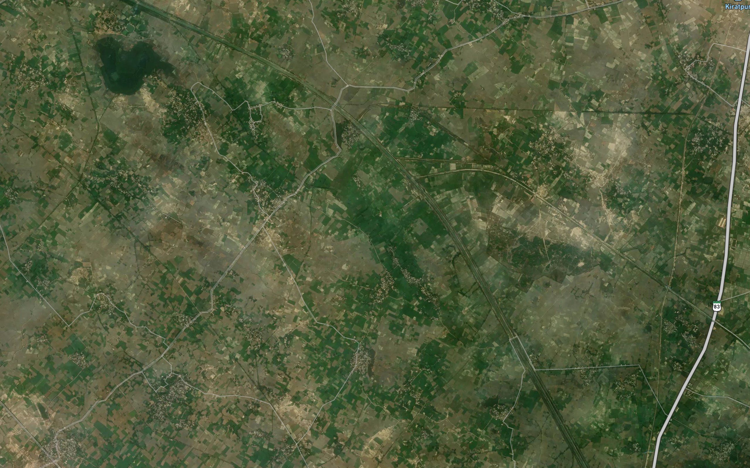 Bidhuna Minor