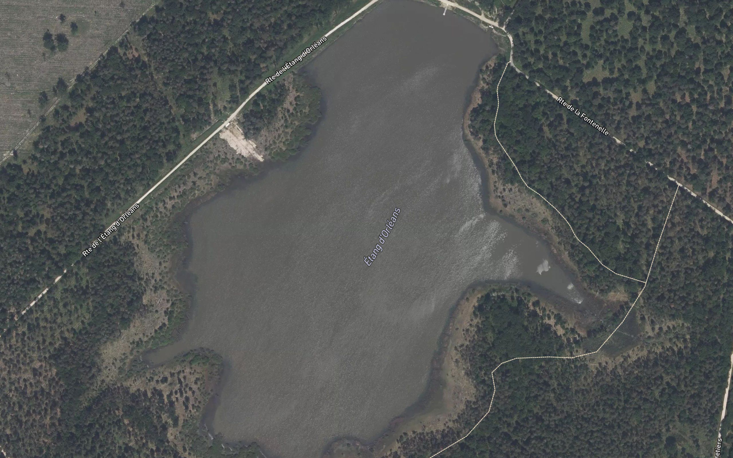 Etang d'Orleans