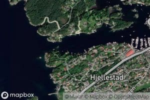 Kviturdspollen