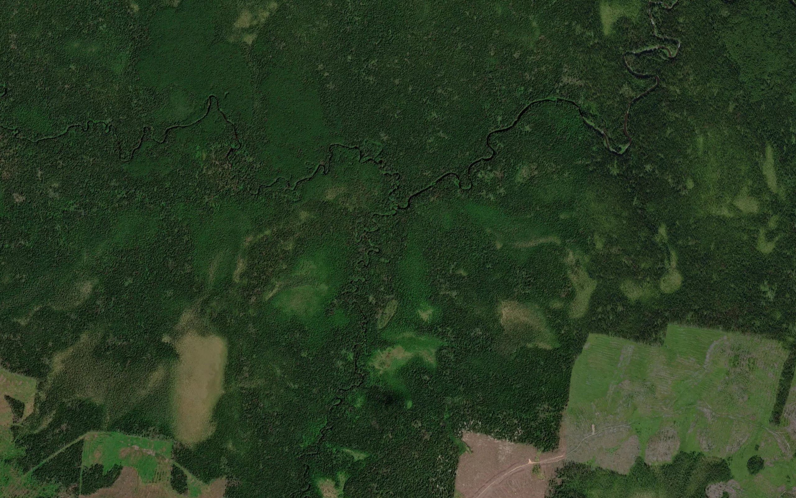 Letnyaya