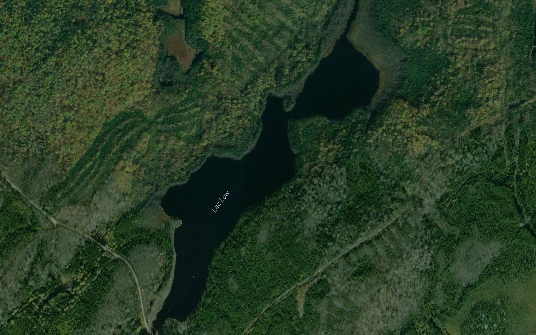 Satellite map of the Lac Low