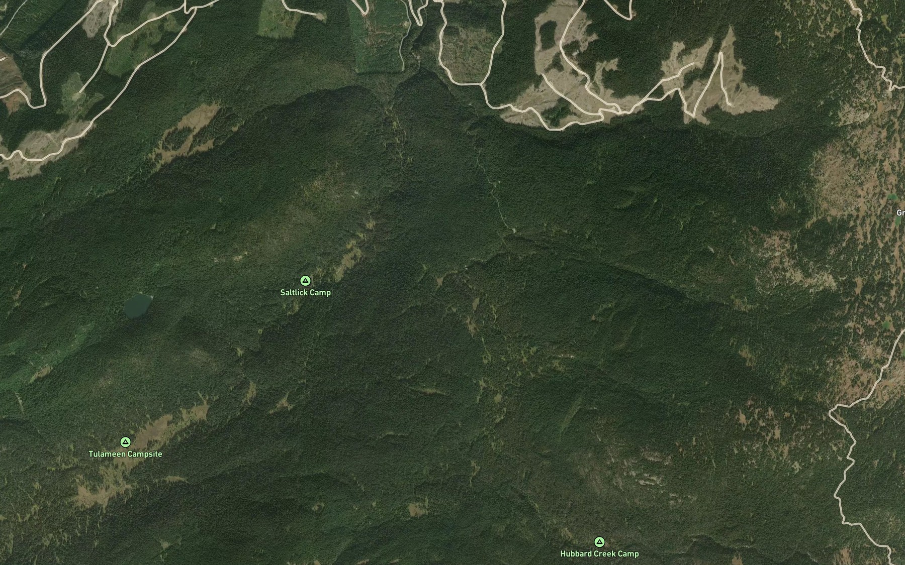 Satellite map of the Buchanan Creek
