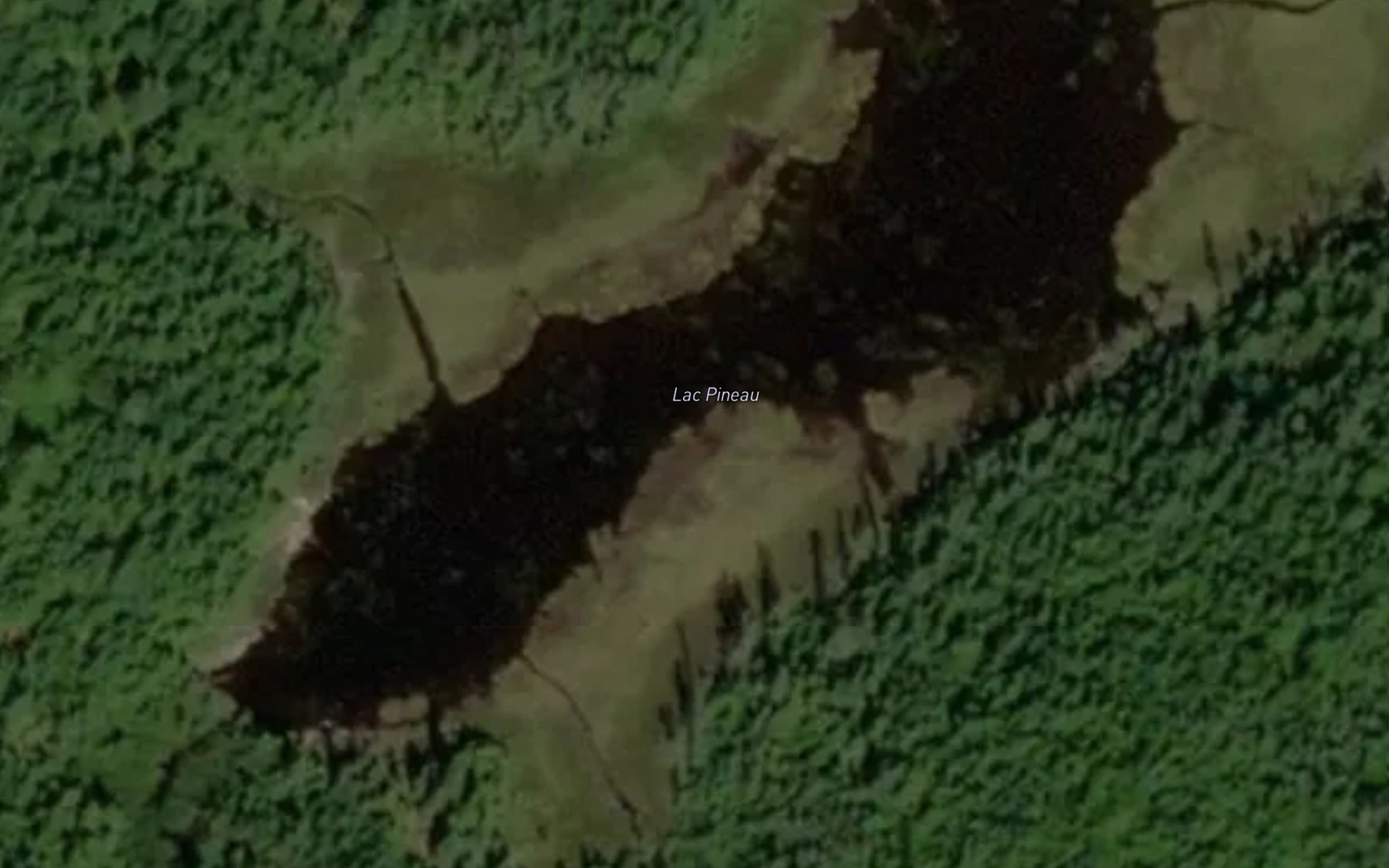 Satellite map of the Lac Pineau