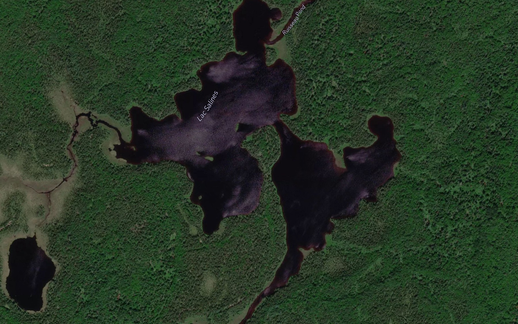 Satellite map of the Lac Salines