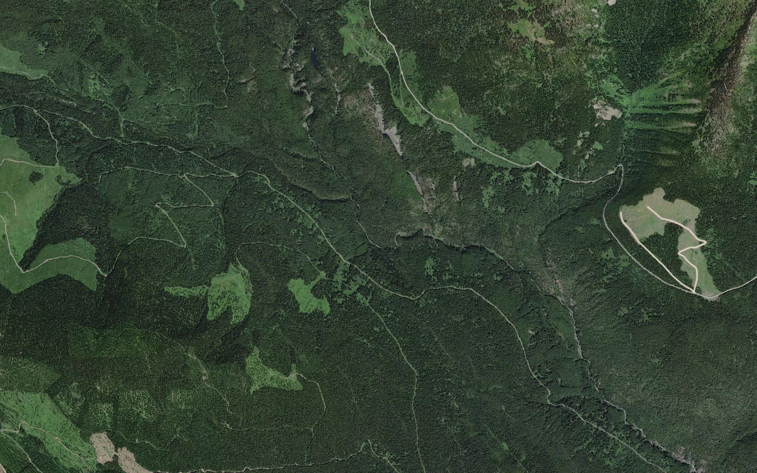 Eureka Creek
