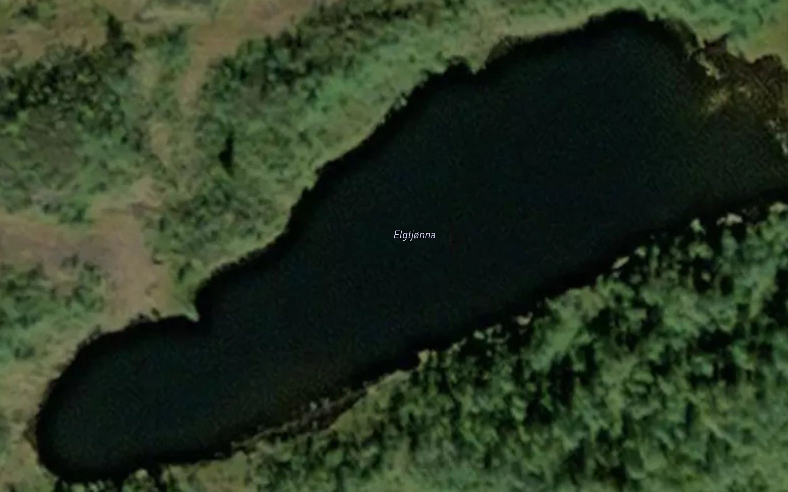 Elgtjonna