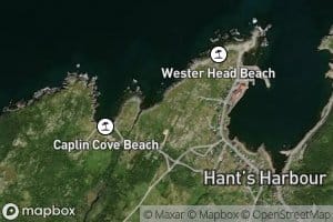 Brook Cove