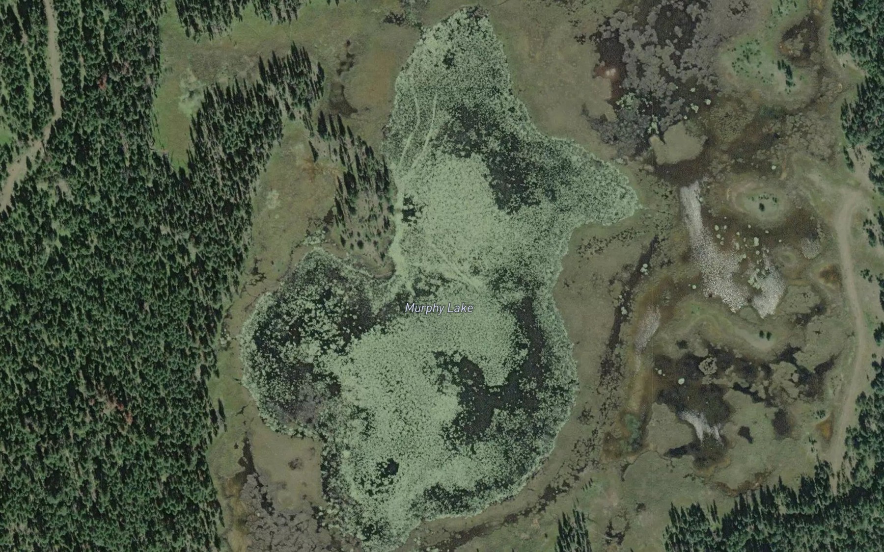 Satellite map of the Murphy Lake