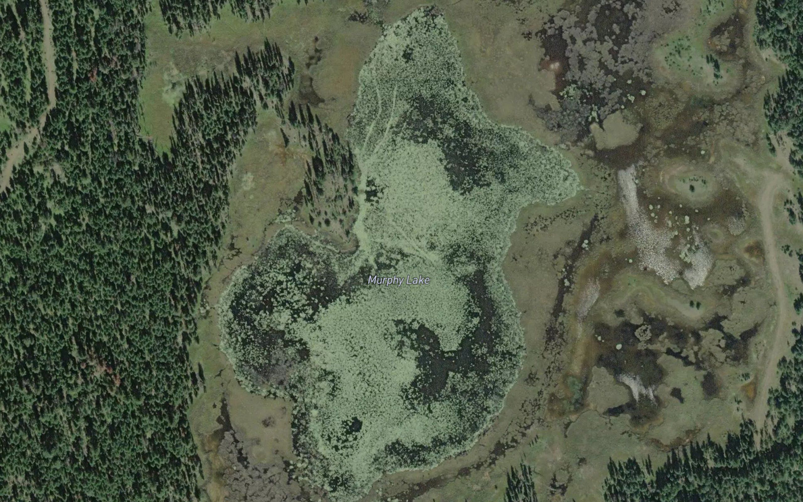 Murphy Lake