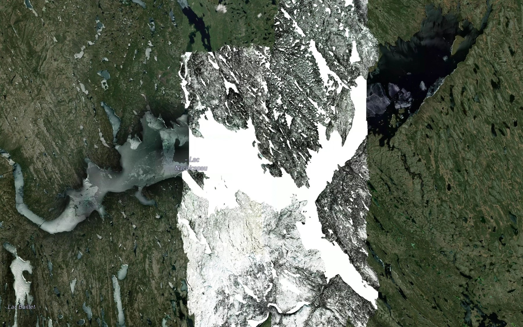 Satellite map of the Lac Nachicapau