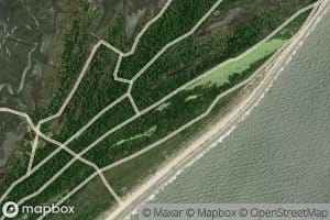 Palmetto Pond
