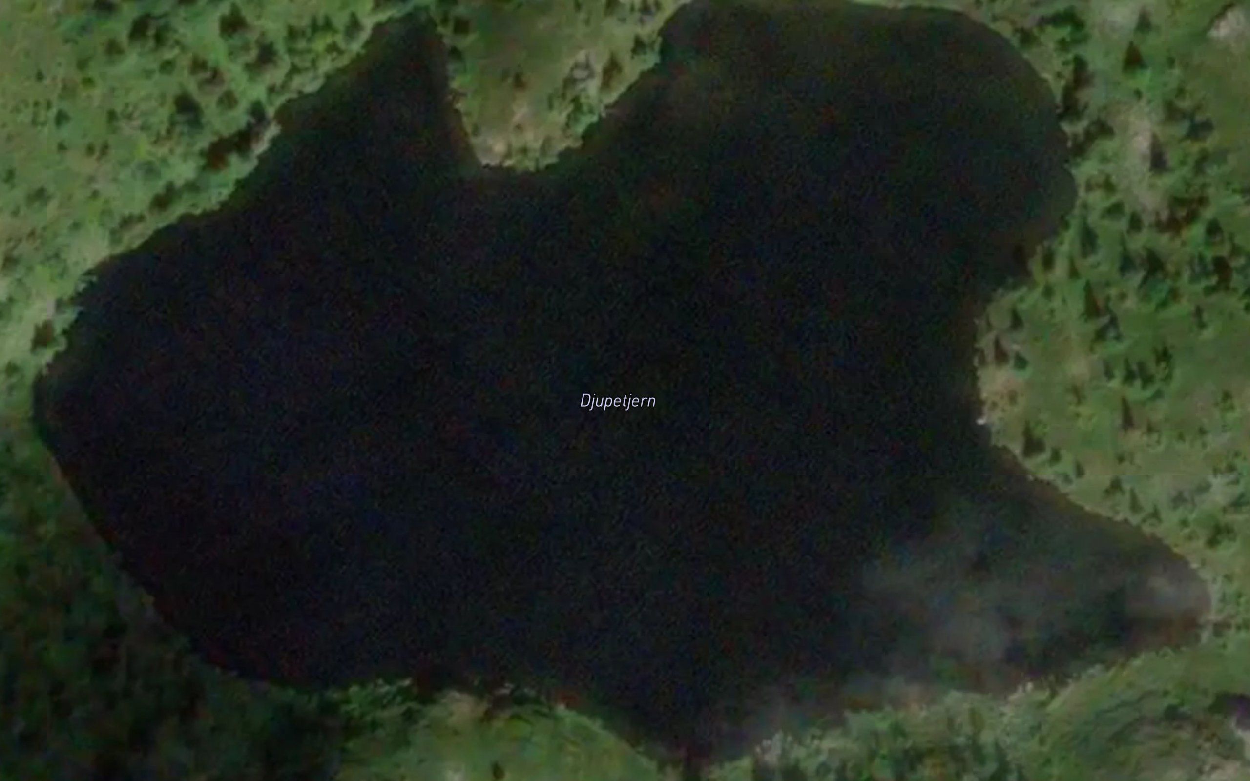 Djupetjern
