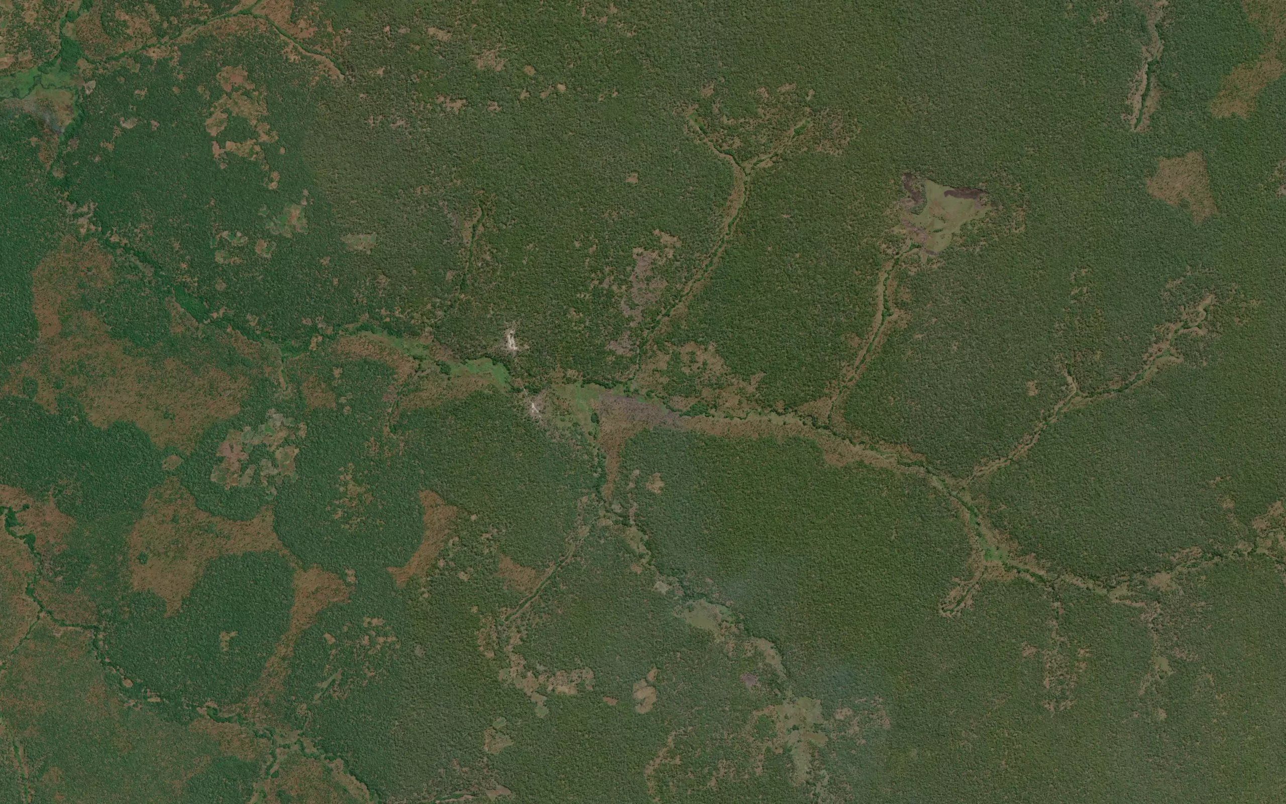 Lofwa