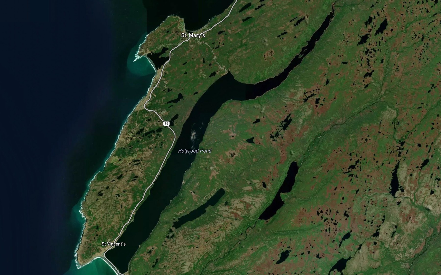 Satellite map of the Holyrood Pond
