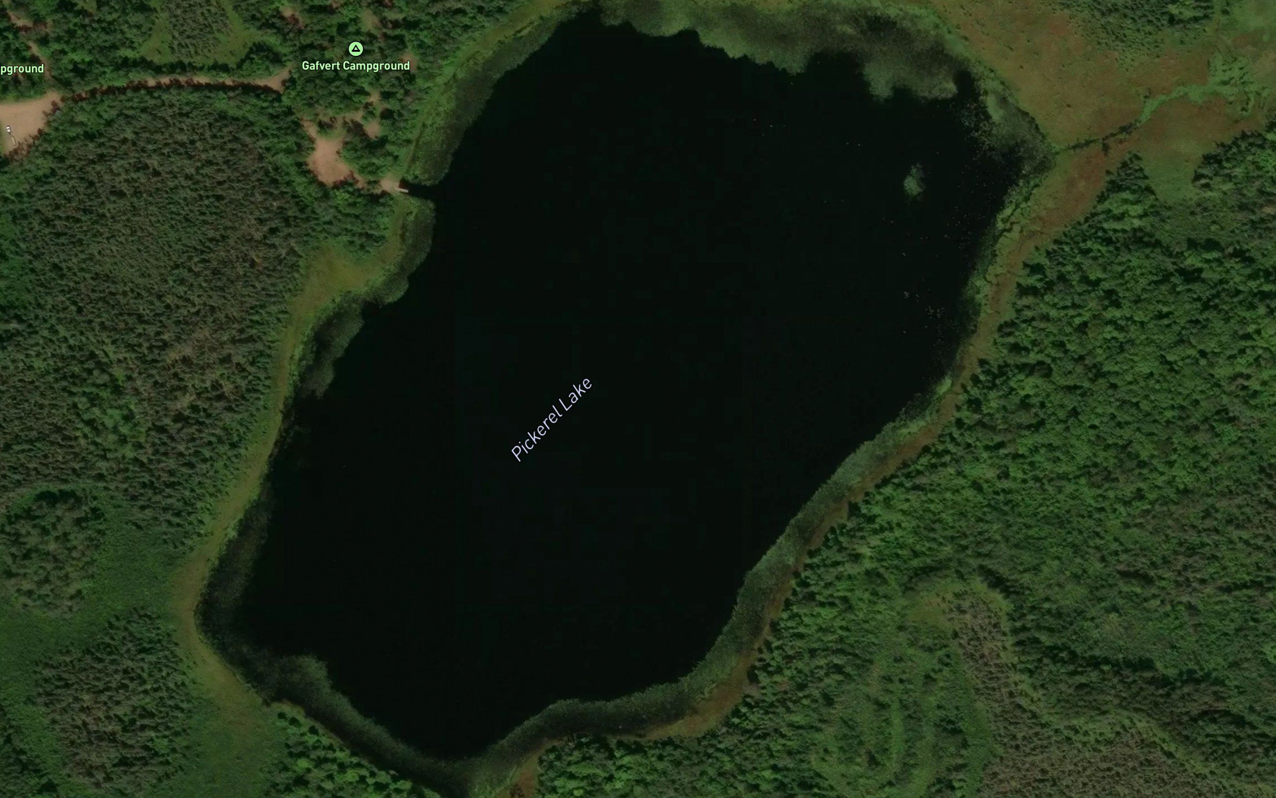 Pickerel Lake