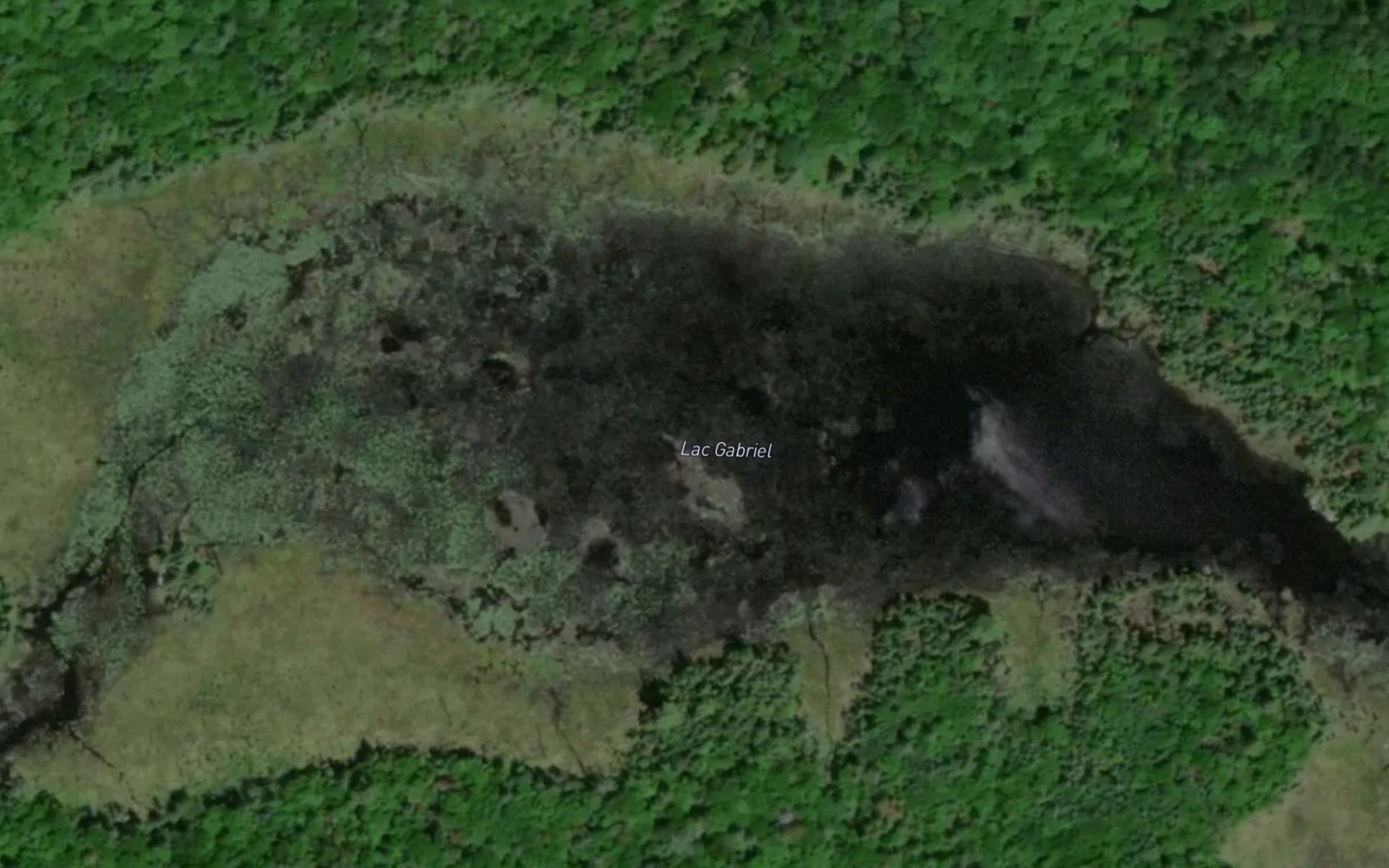 Satellite map of the Lac Gabriel