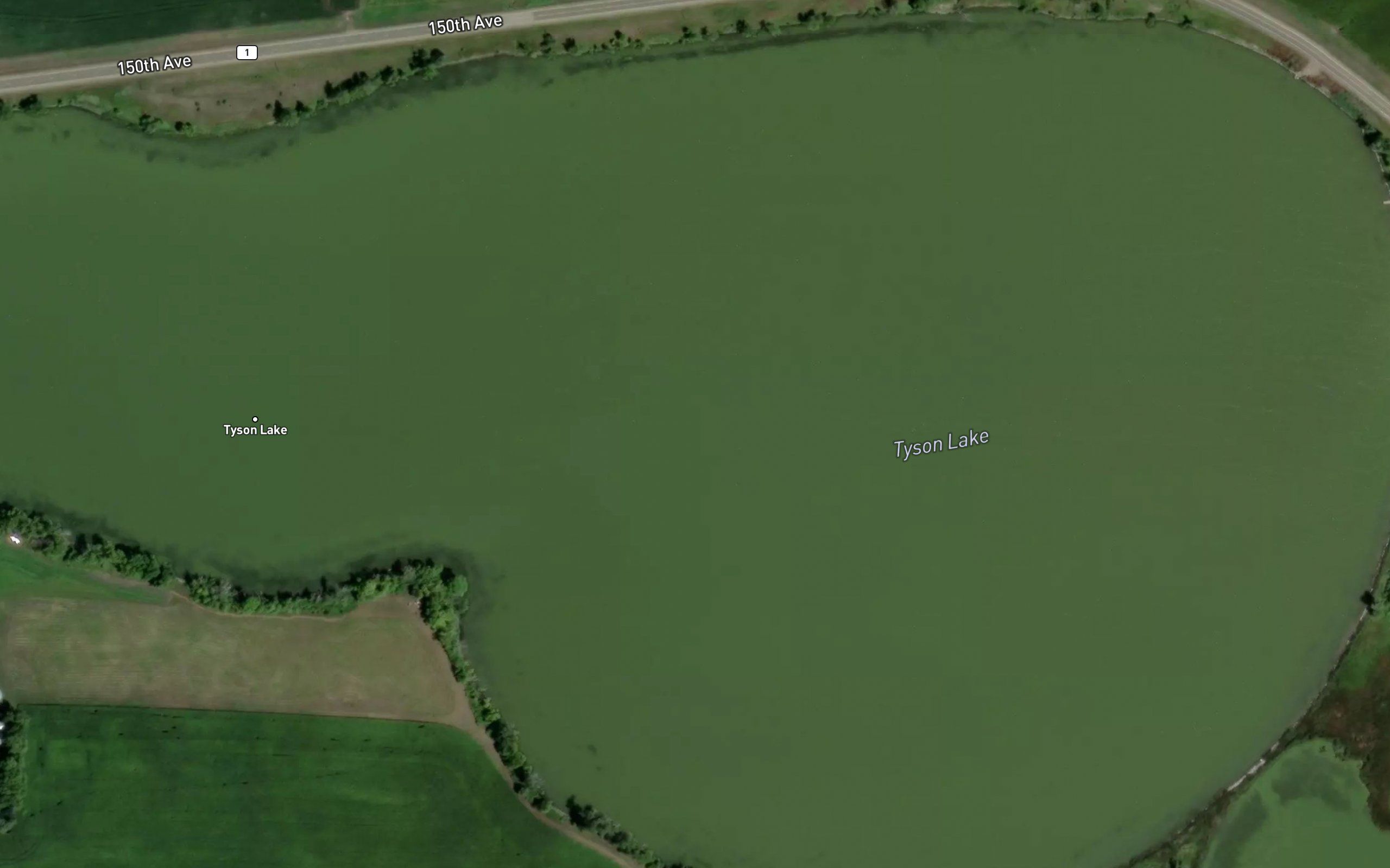 Tyson Lake