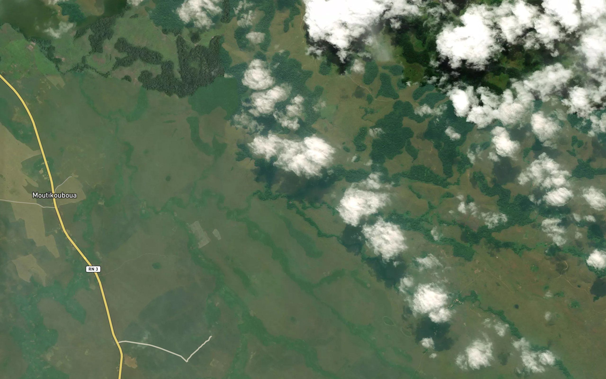 Kidimba