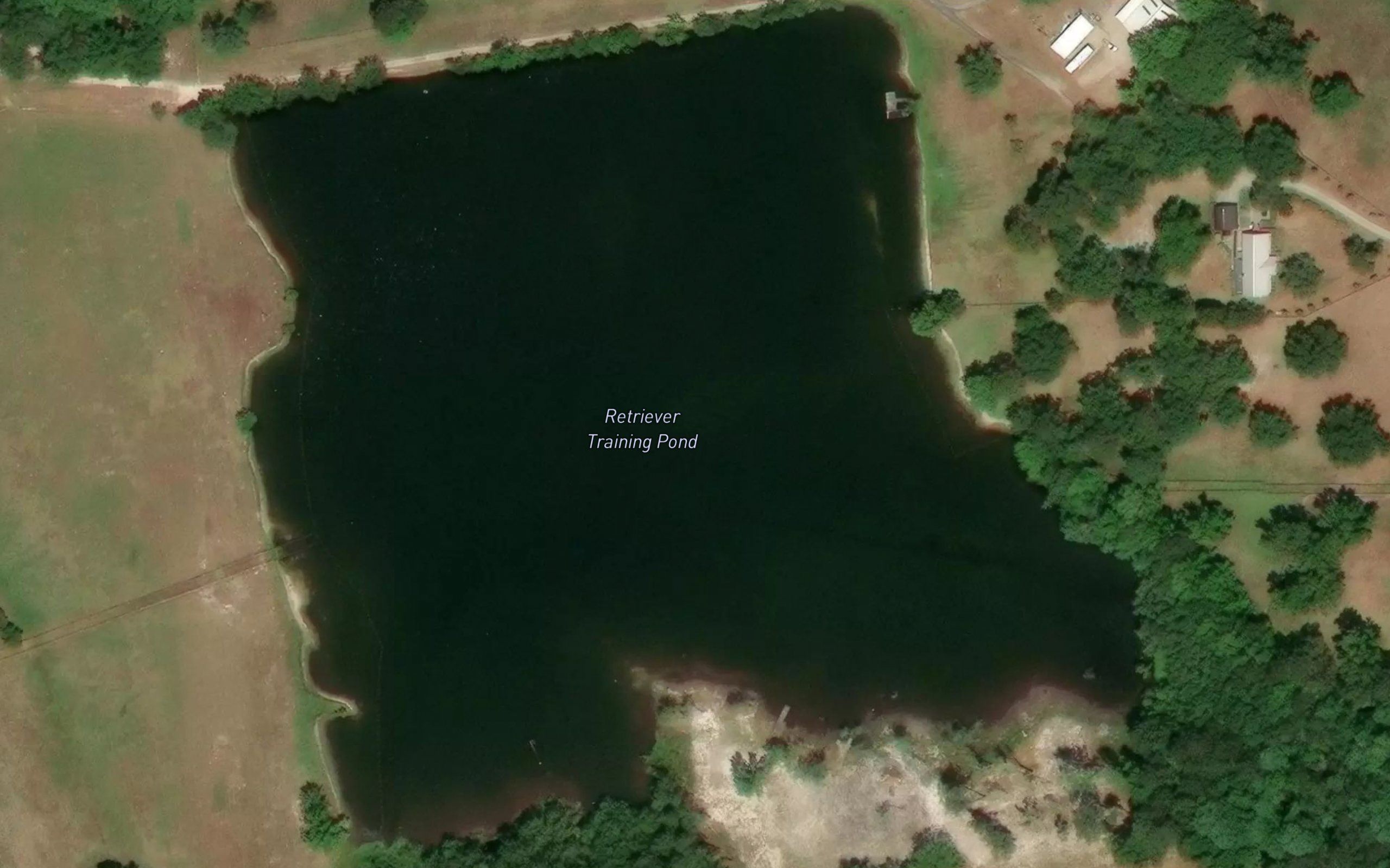 Retriever Training Pond