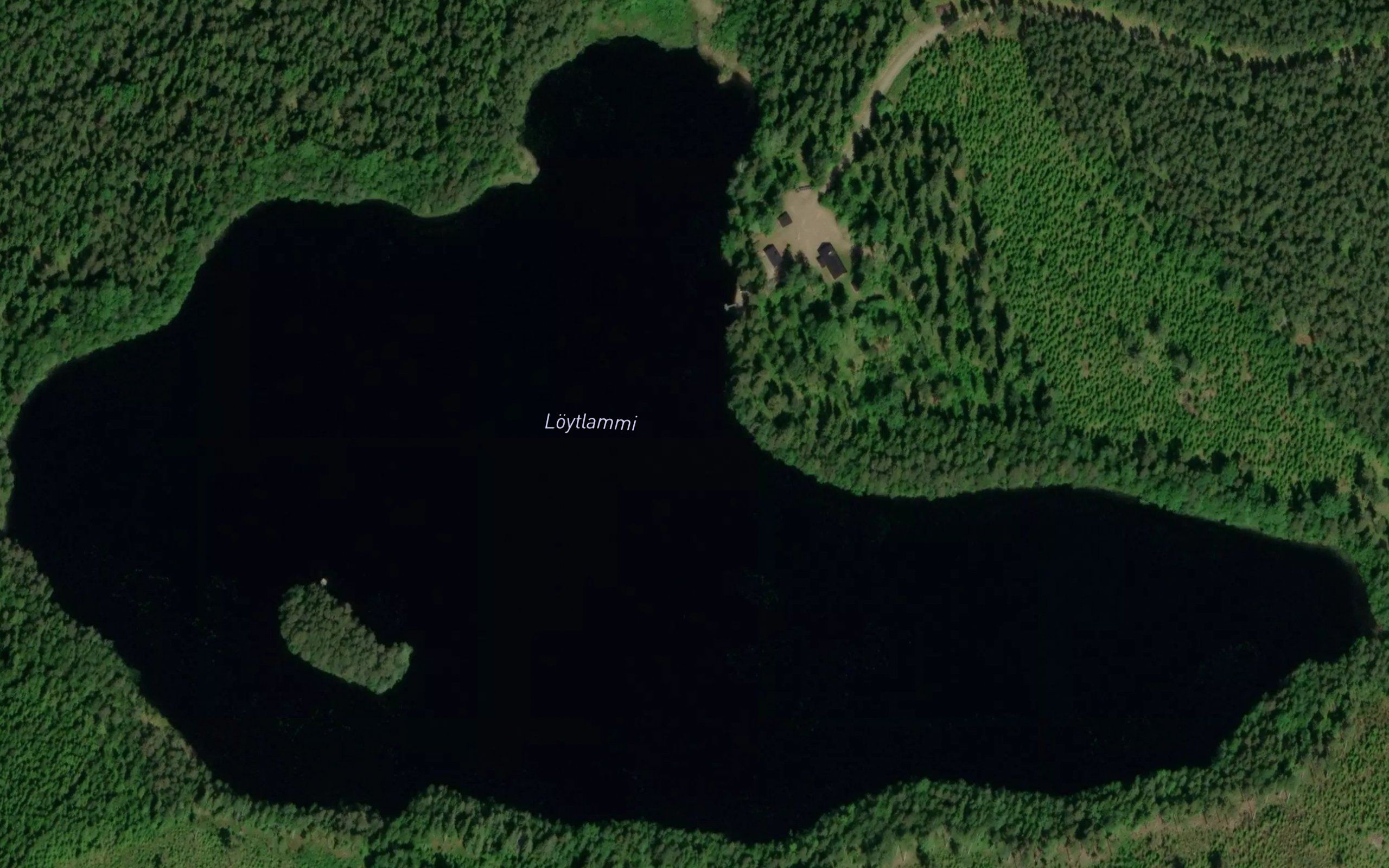 Loytlammi