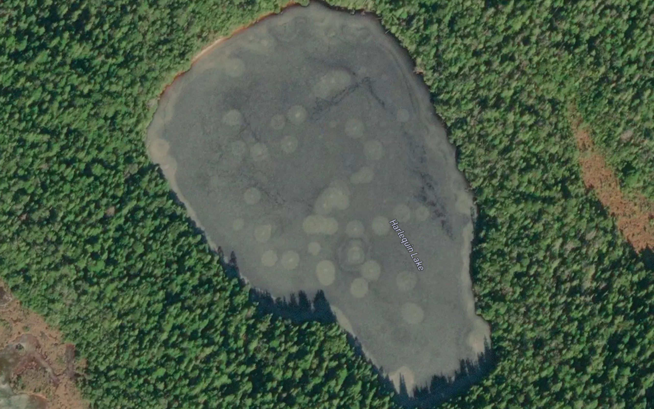 Harlequin Lake