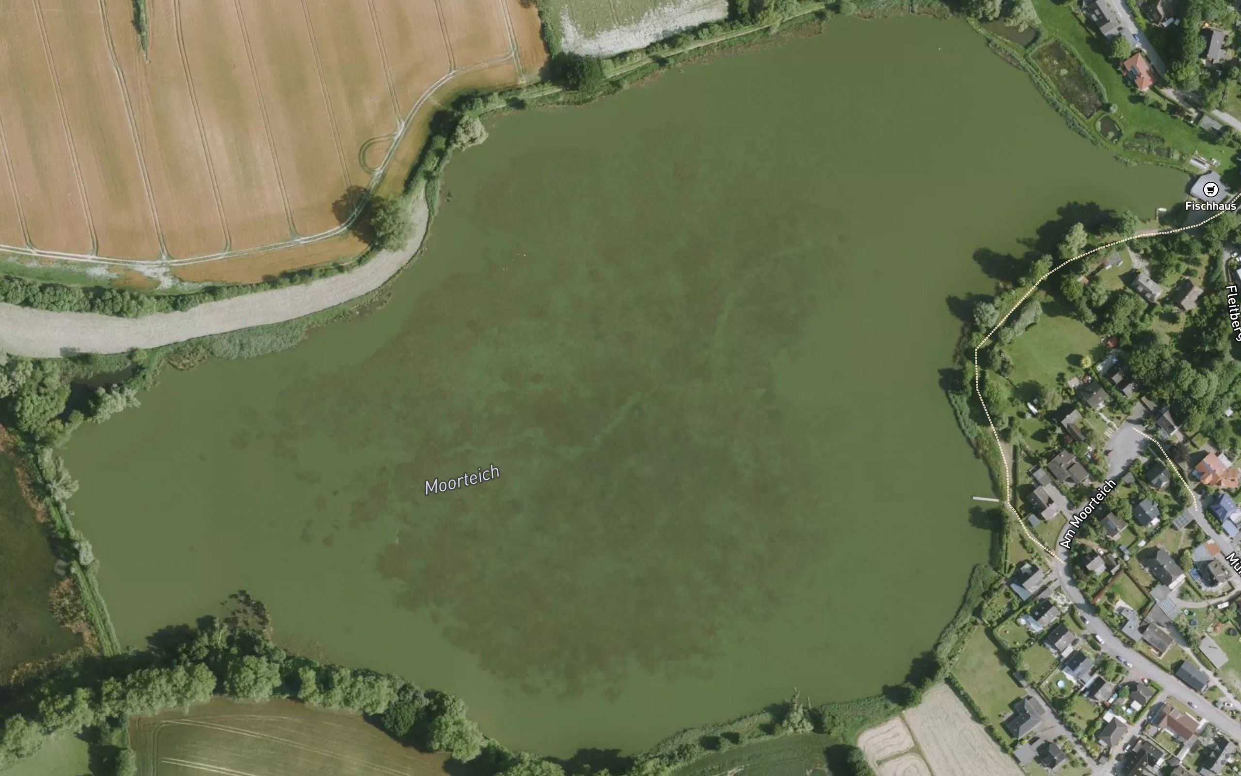 Moor-Teich
