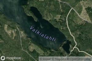Valkialahti