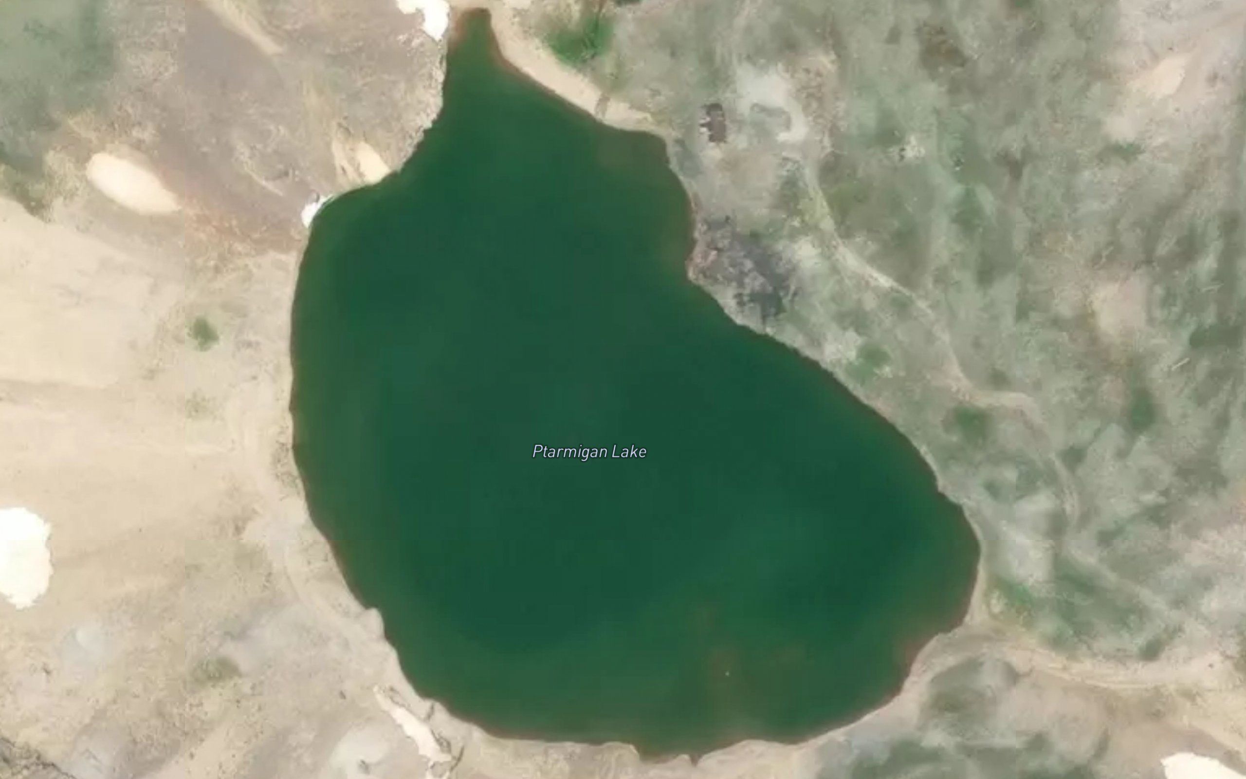 Ptarmigan Lake