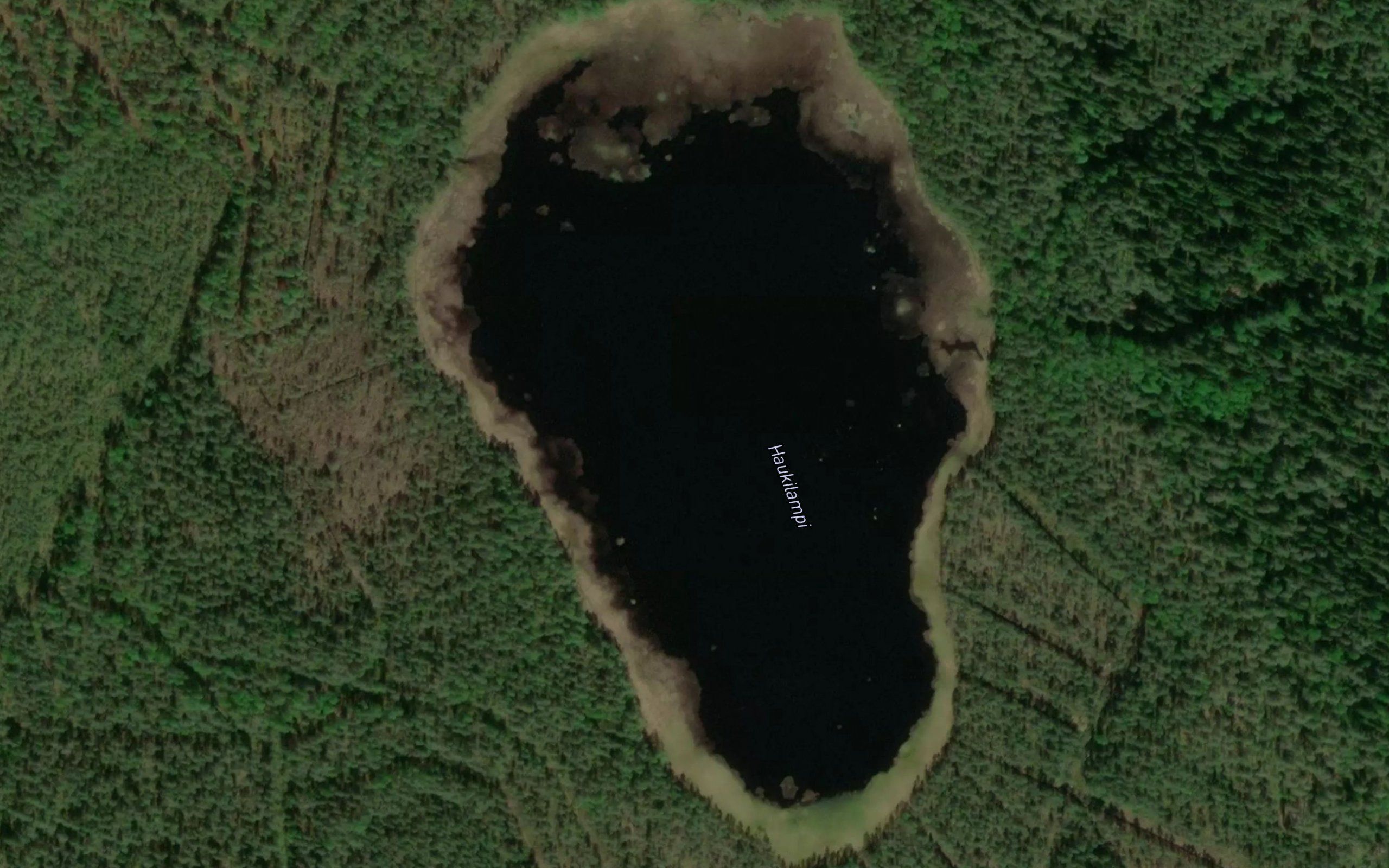 Haukilampi