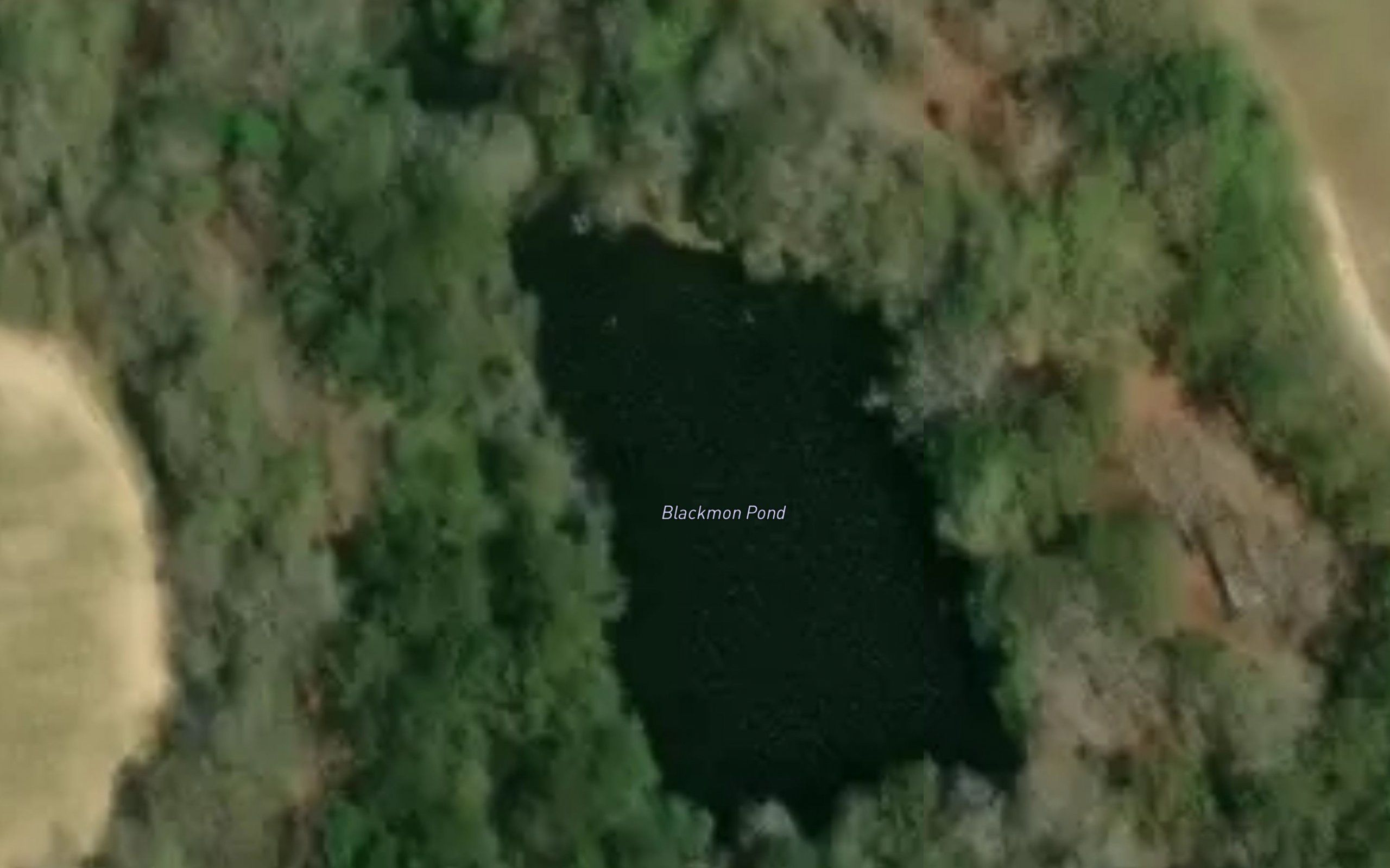 Blackmon Pond