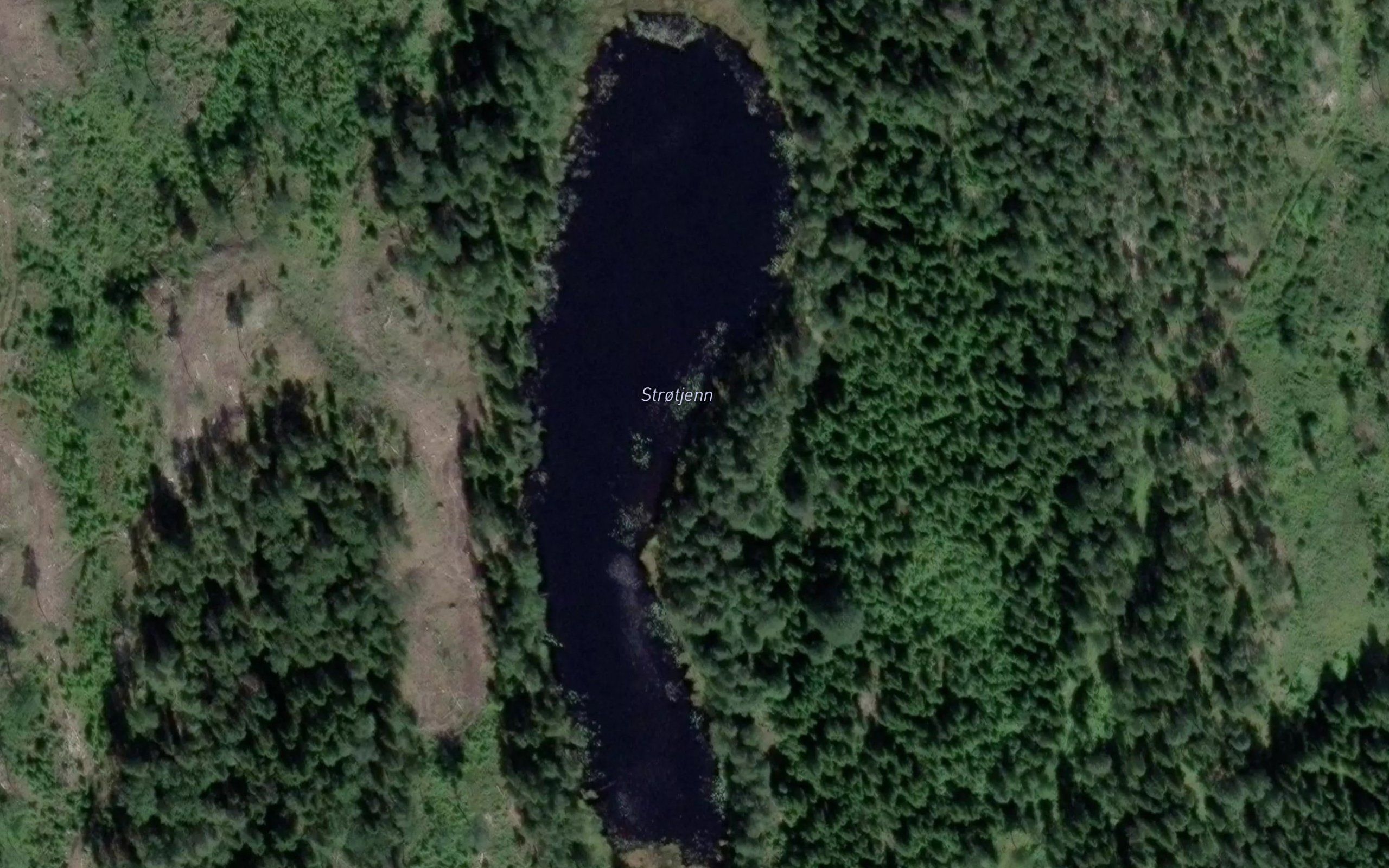 Strotjern