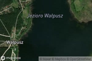Walpusz