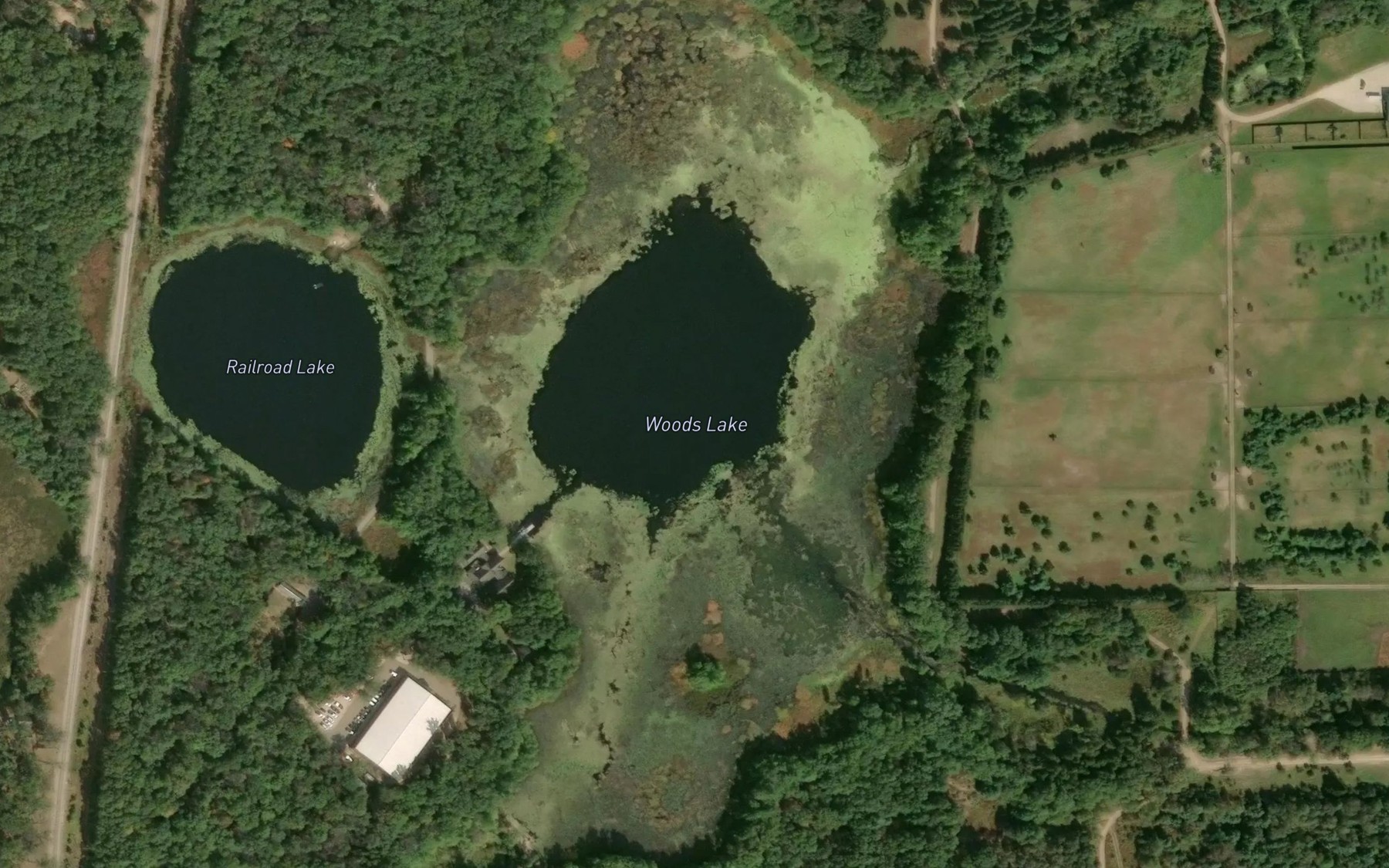 Satellite map of the Woods Lake