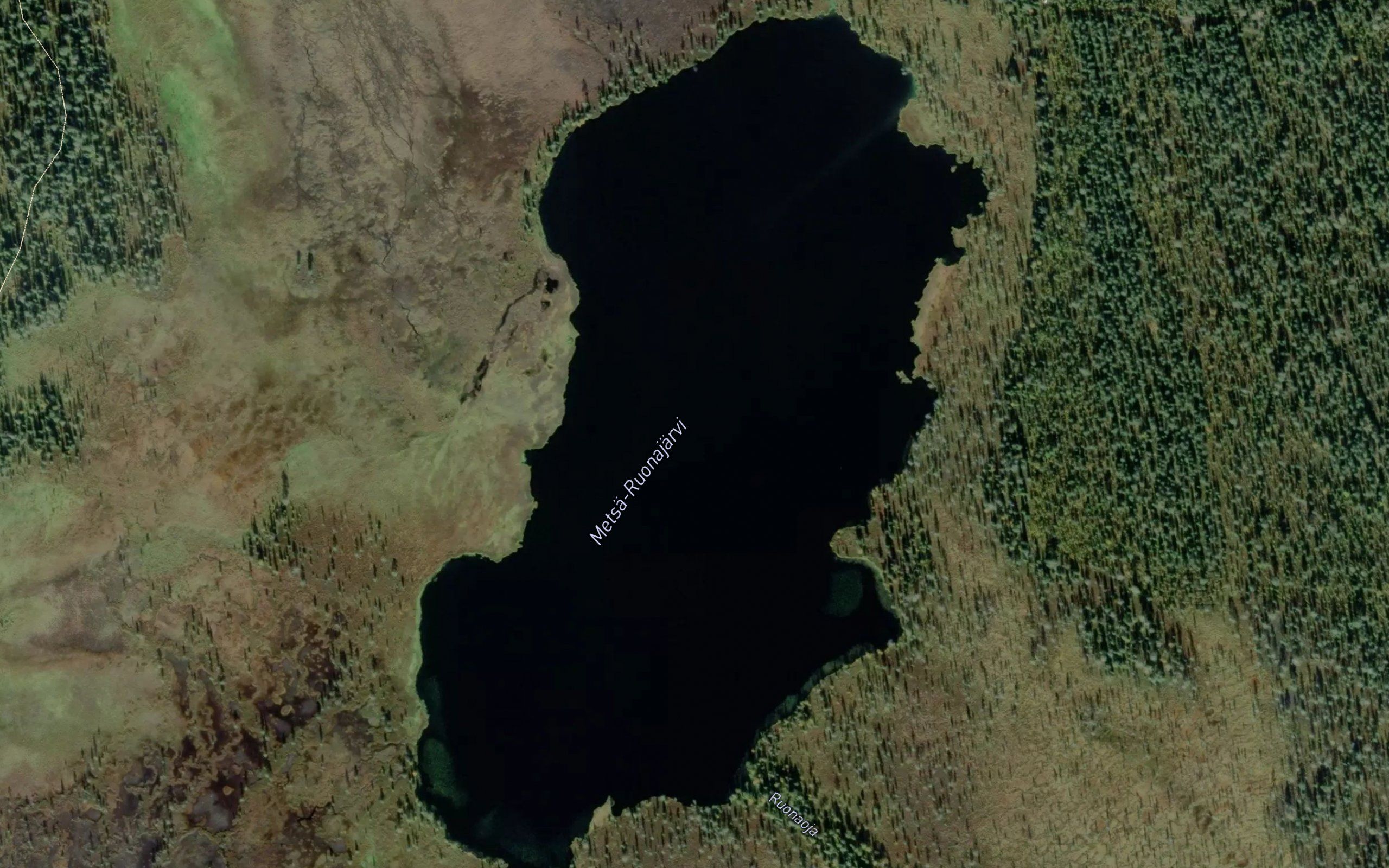 Metsa-Ruonajarvi