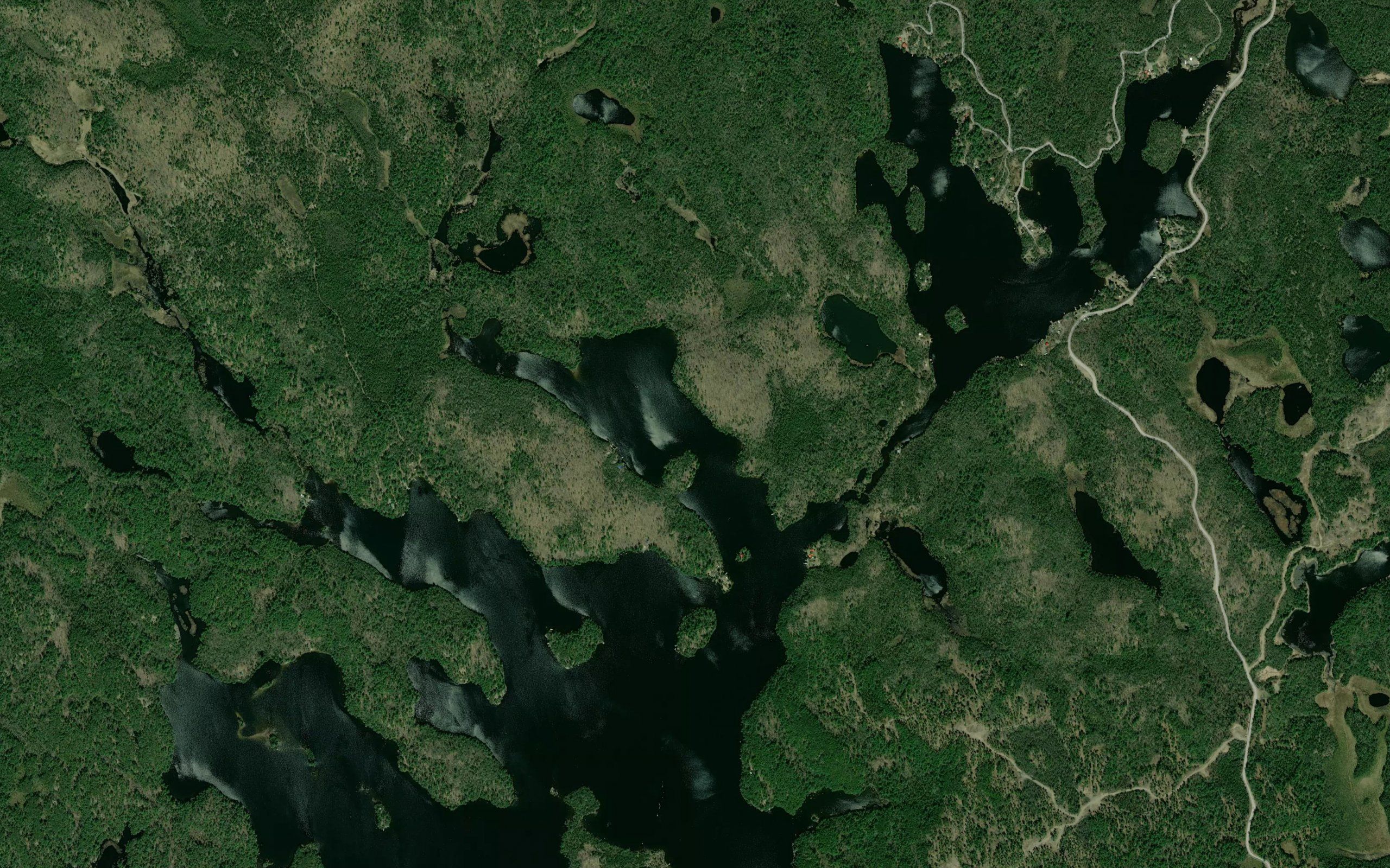 Otter Lake