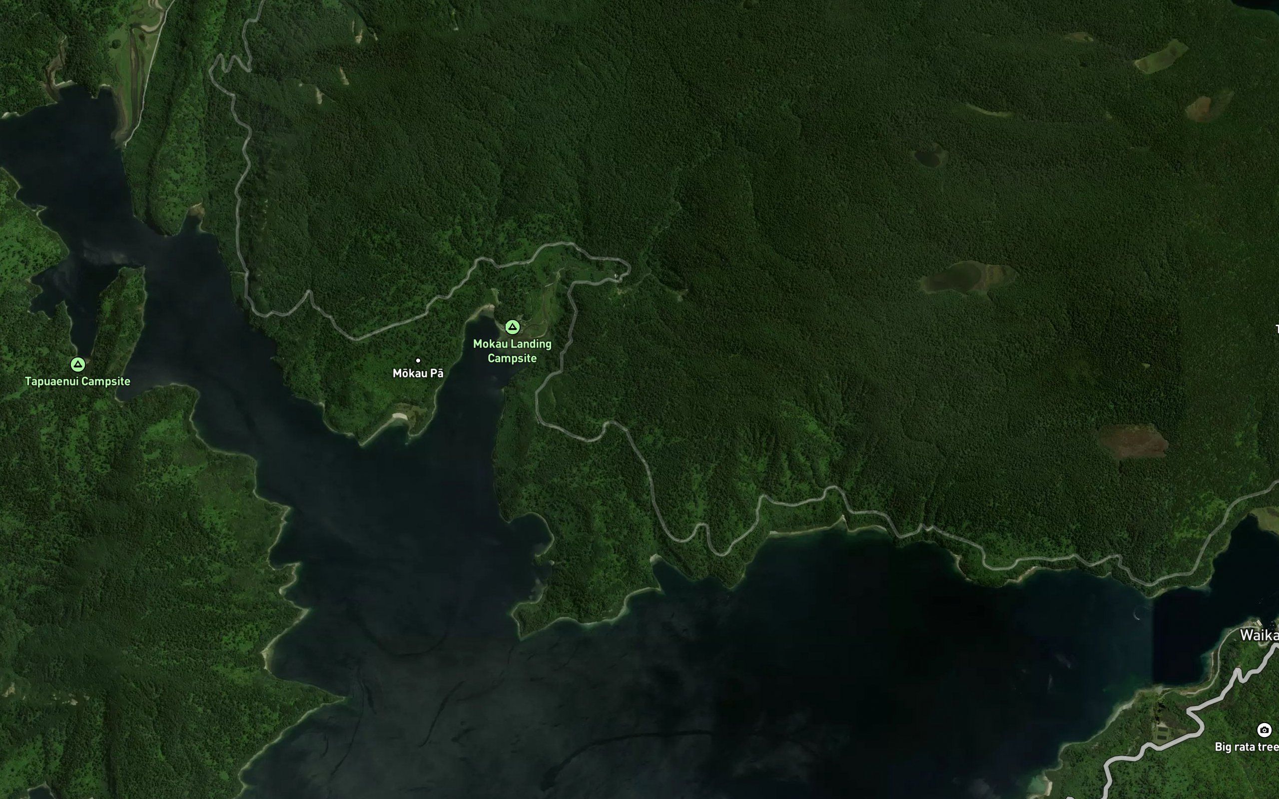 Te Kahika Stream